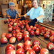 Times change, and our taste for apples along with them.